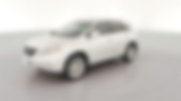 2010 Lexus RX vehicle photo