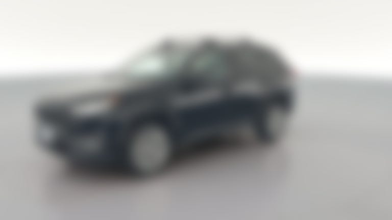 2020 Toyota RAV4 vehicle photo