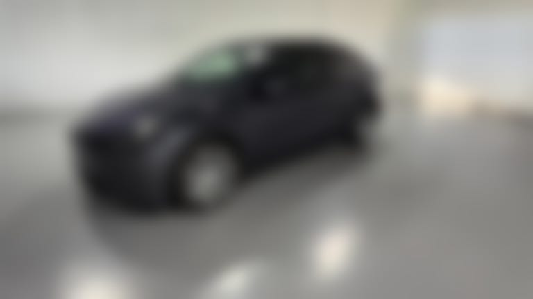 2023 Tesla Model Y vehicle photo