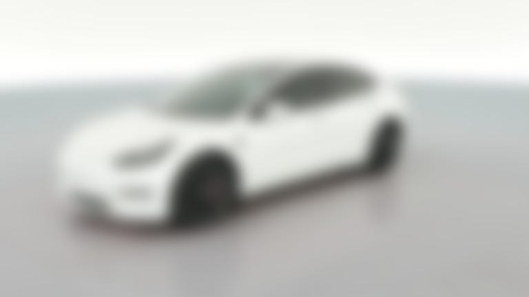 2021 Tesla Model 3 vehicle photo