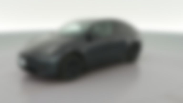 2024 Tesla Model Y vehicle photo