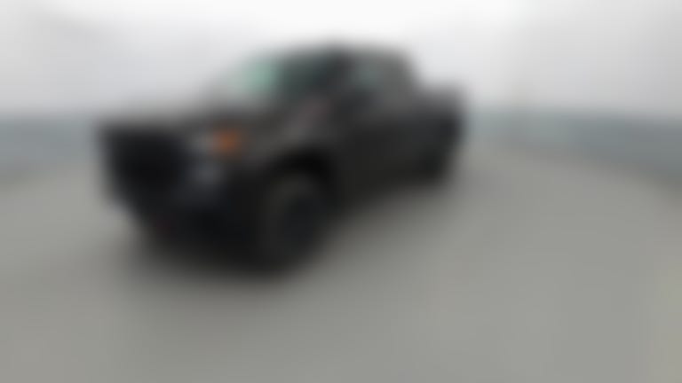 2019 Chevrolet Silverado 1500 Double Cab vehicle photo