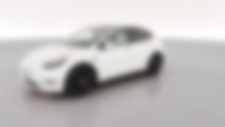 2022 Tesla Model Y vehicle photo