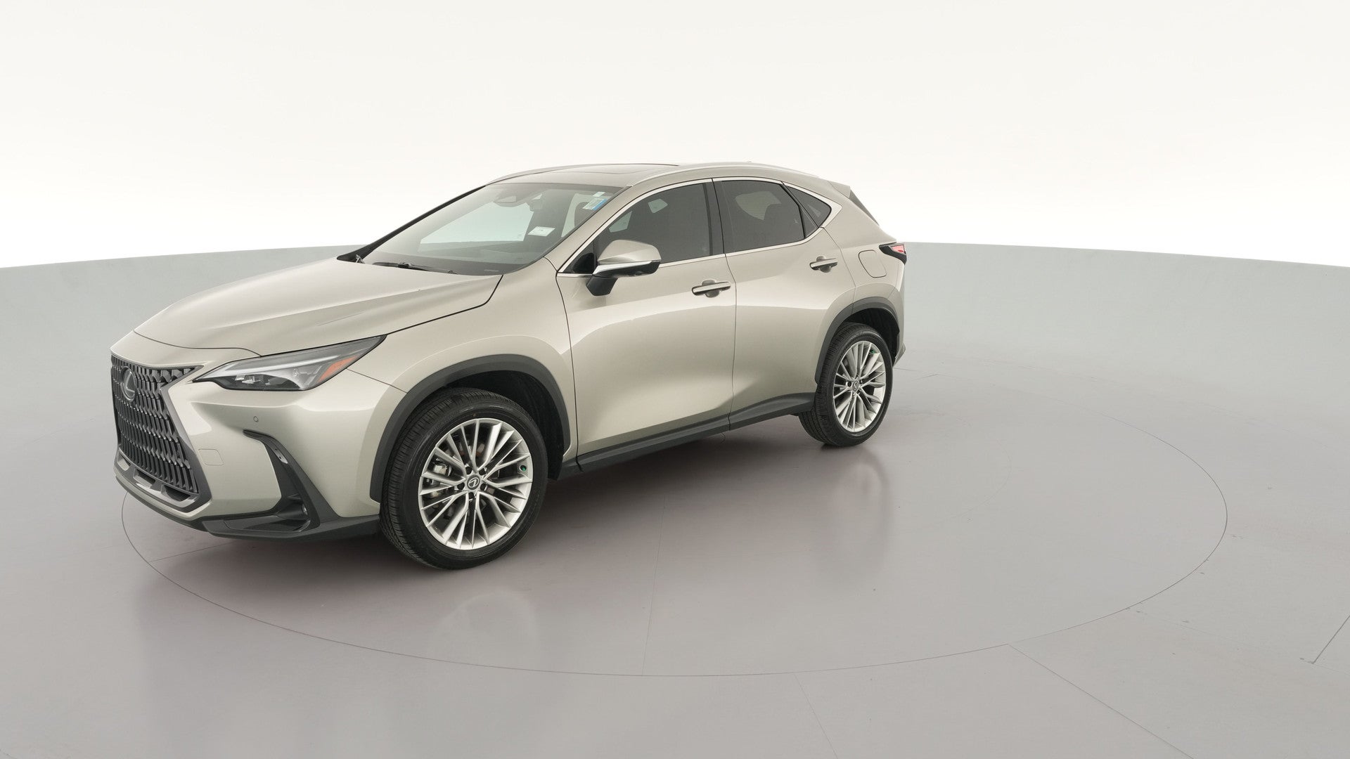 2026 Lexus NX vehicle photo