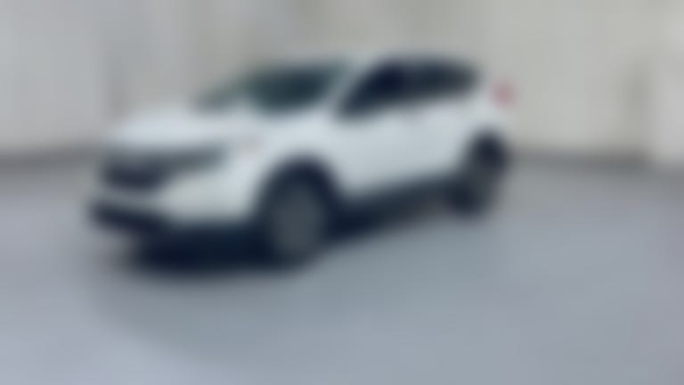2019 Honda CR-V vehicle photo