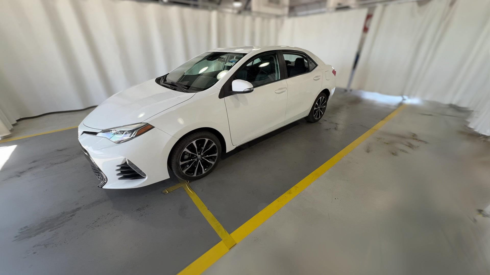 2019 Toyota Corolla vehicle photo