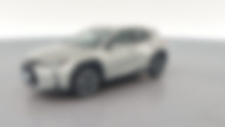 2021 Lexus UX vehicle photo