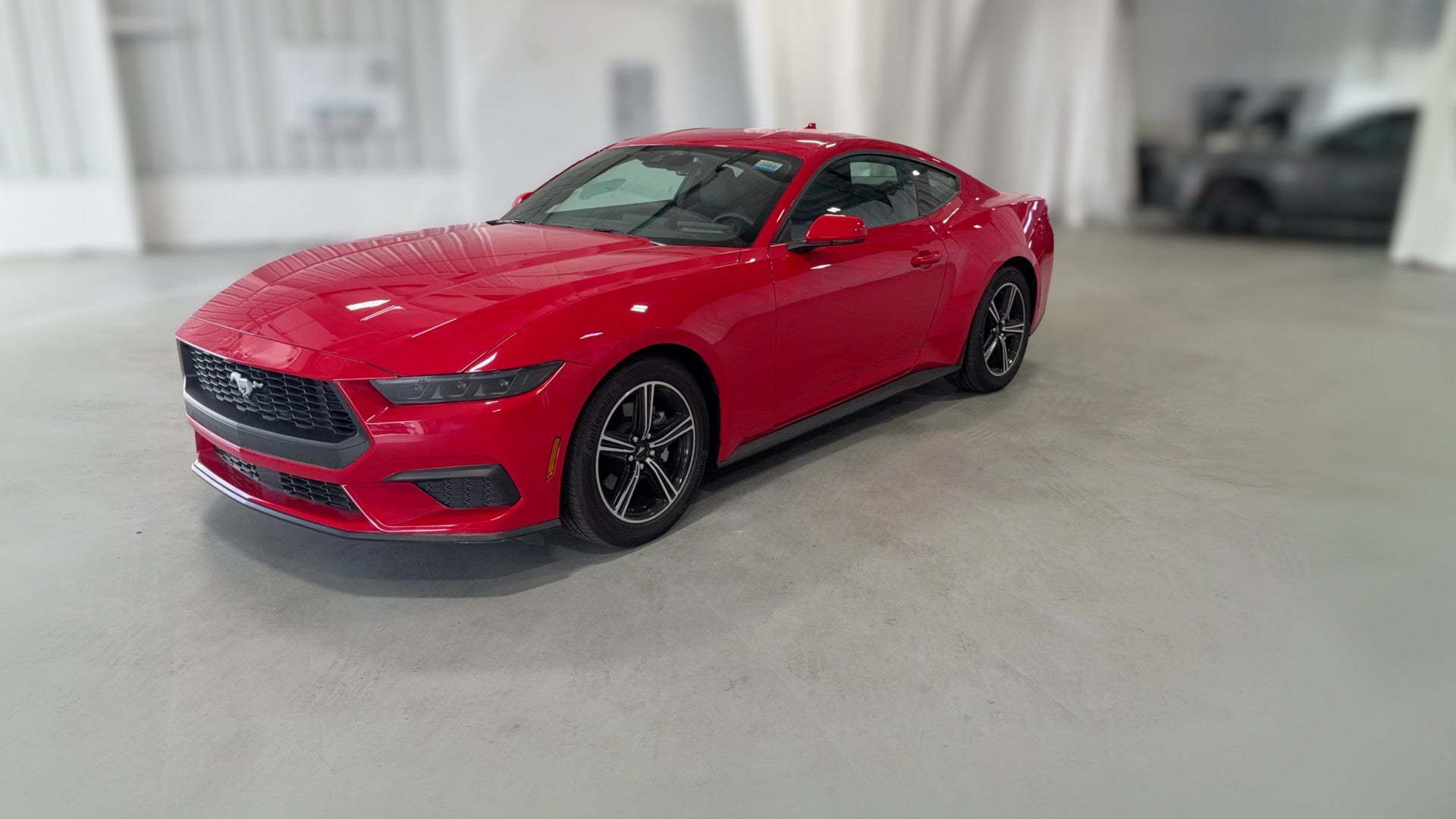 2025 Ford Mustang vehicle photo