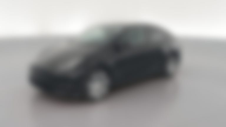 2023 Tesla Model Y vehicle photo