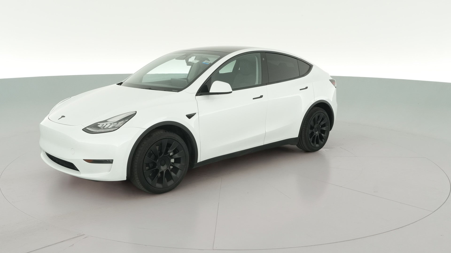 2023 Tesla Model Y vehicle photo