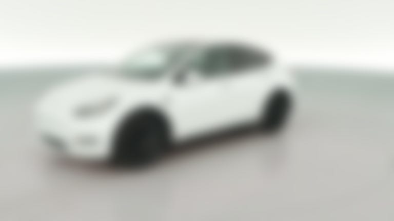 2023 Tesla Model Y vehicle photo