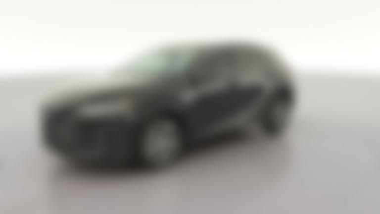 2024 Lexus RX vehicle photo