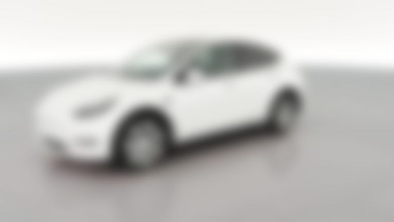 2023 Tesla Model Y vehicle photo