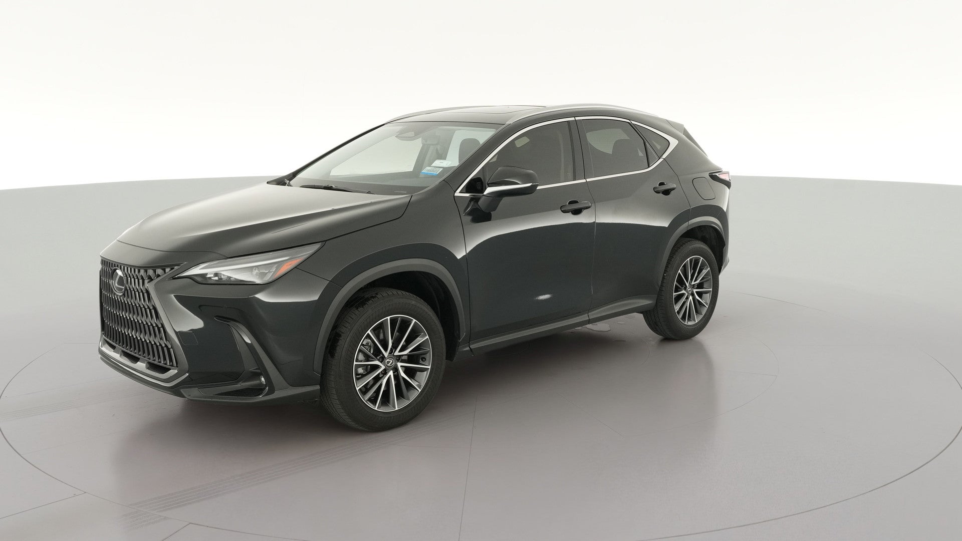 2024 Lexus NX vehicle photo