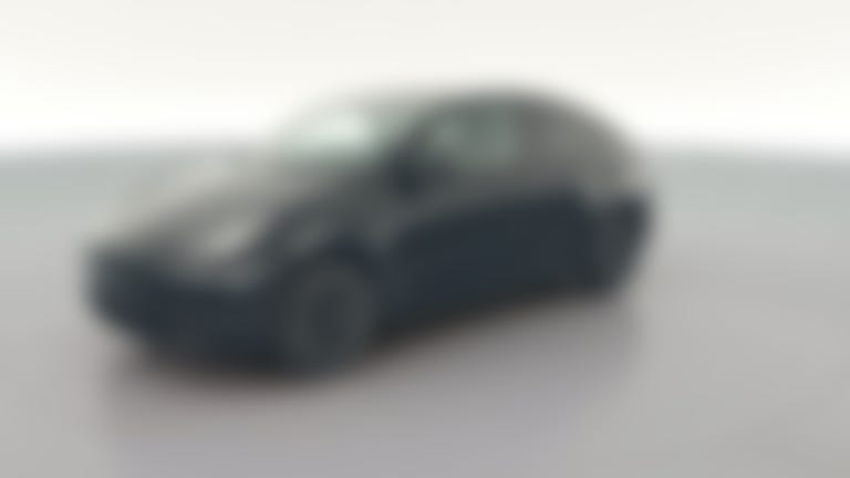 2021 Tesla Model Y vehicle photo