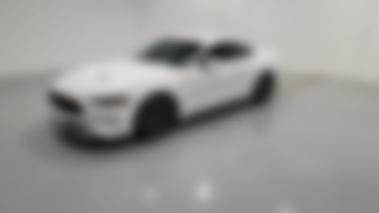 2019 Ford Mustang vehicle photo