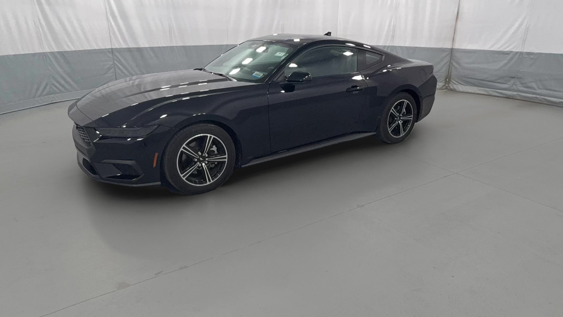 2025 Ford Mustang vehicle photo