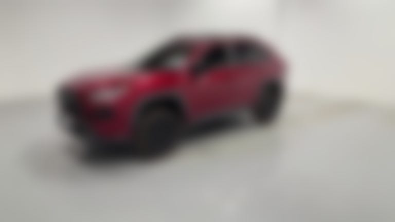 2020 Toyota RAV4 vehicle photo