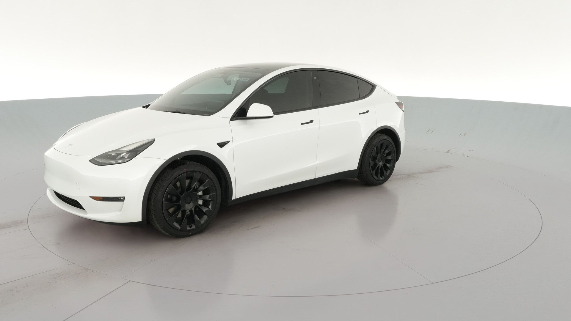 2023 Tesla Model Y vehicle photo