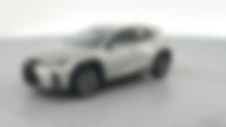 2019 Lexus UX vehicle photo