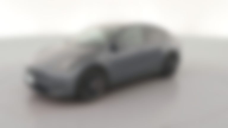 2023 Tesla Model Y vehicle photo