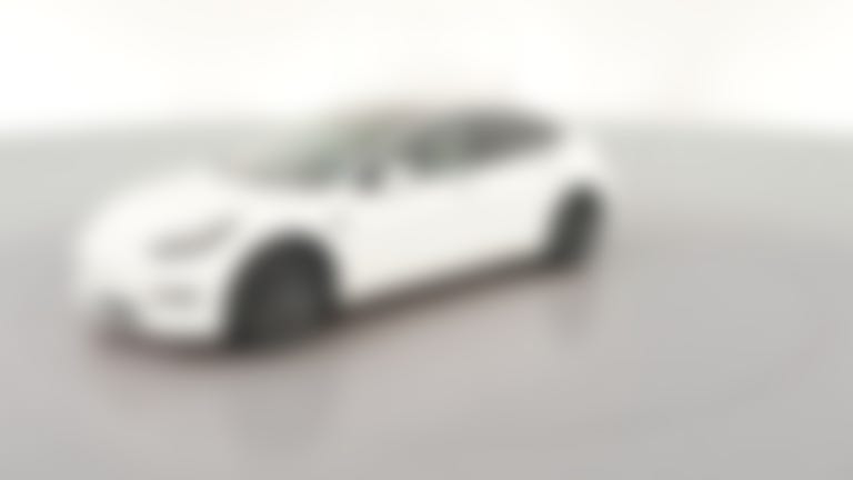 2021 Tesla Model 3 vehicle photo