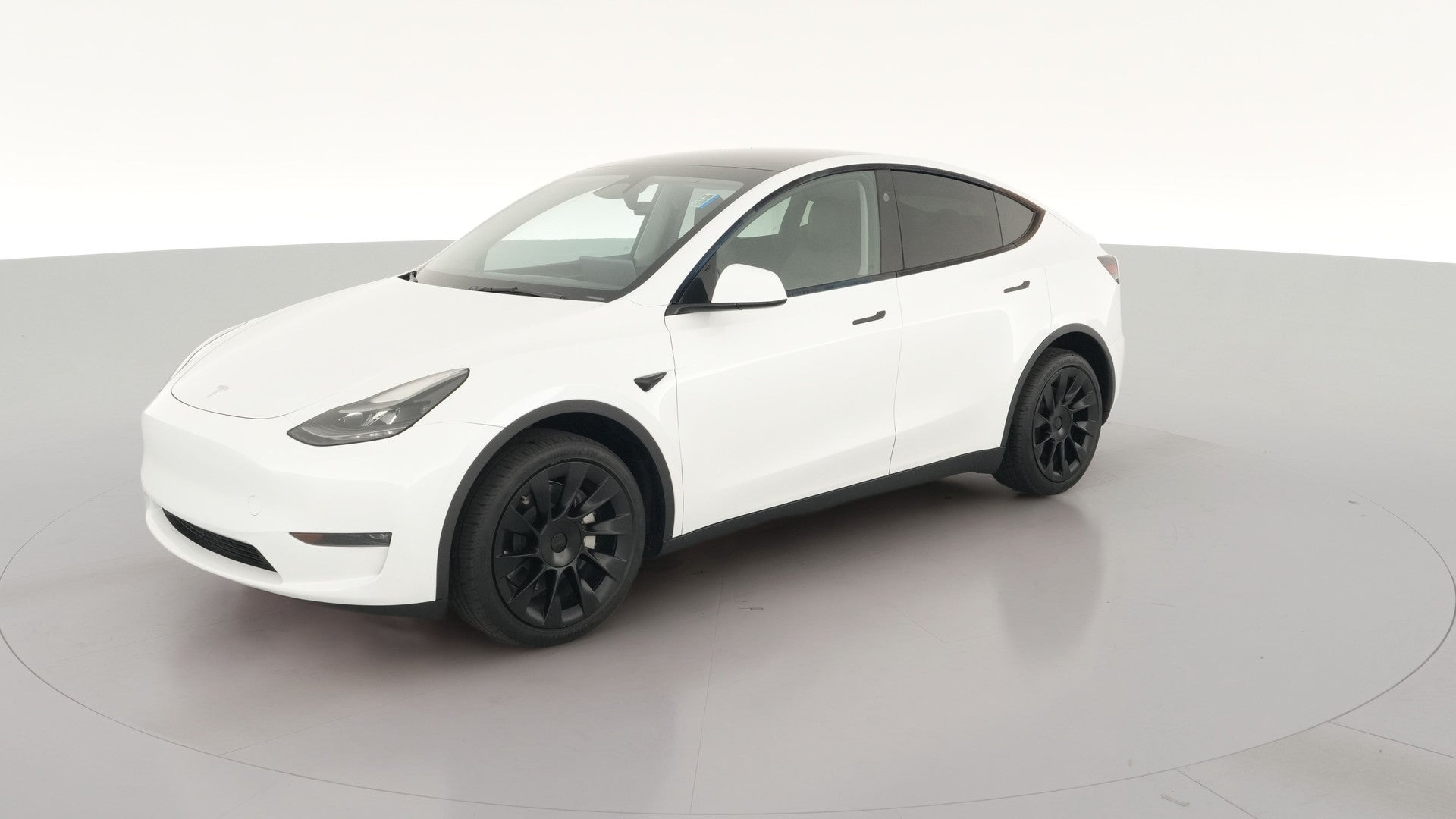 2024 Tesla Model Y vehicle photo