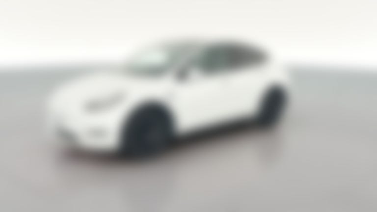 2023 Tesla Model Y vehicle photo