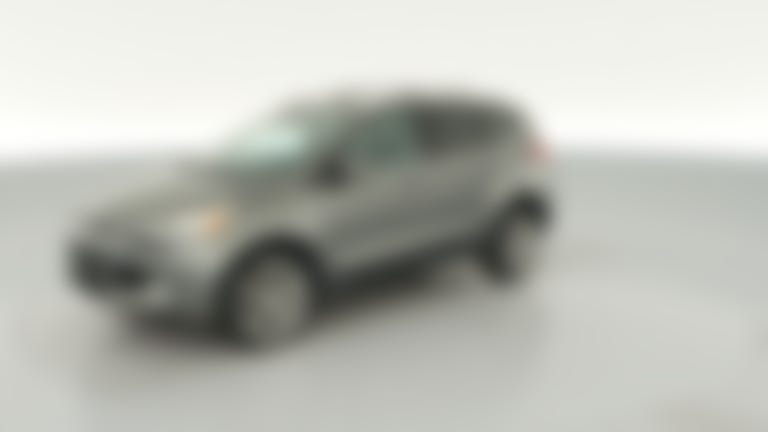 2014 Ford Escape vehicle photo