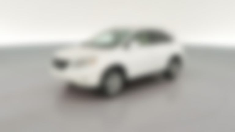 2010 Lexus RX vehicle photo