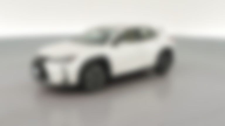 2020 Lexus UX vehicle photo