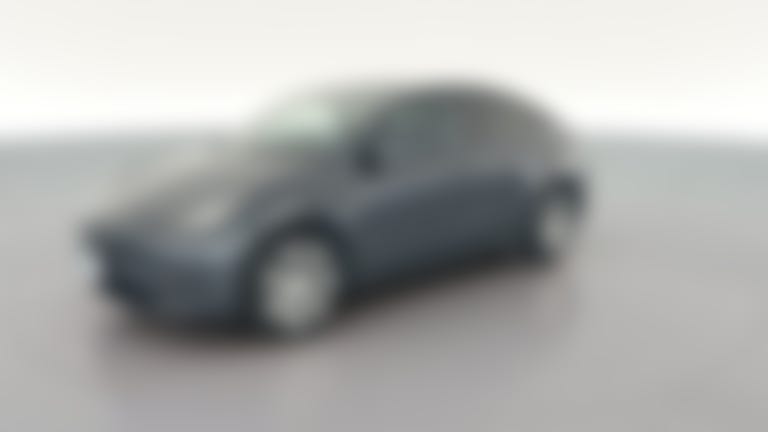 2020 Tesla Model Y vehicle photo