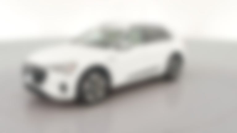 2021 Audi e-tron vehicle photo
