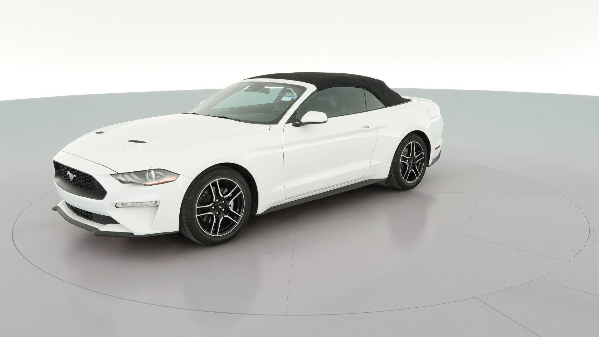2021 Ford Mustang vehicle photo