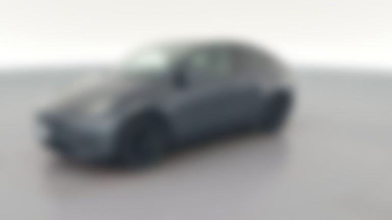 2021 Tesla Model Y vehicle photo