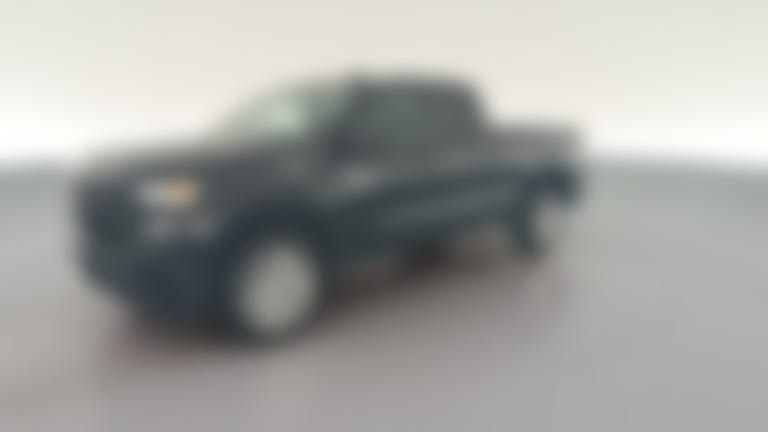 2021 Chevrolet Silverado 1500 Double Cab vehicle photo