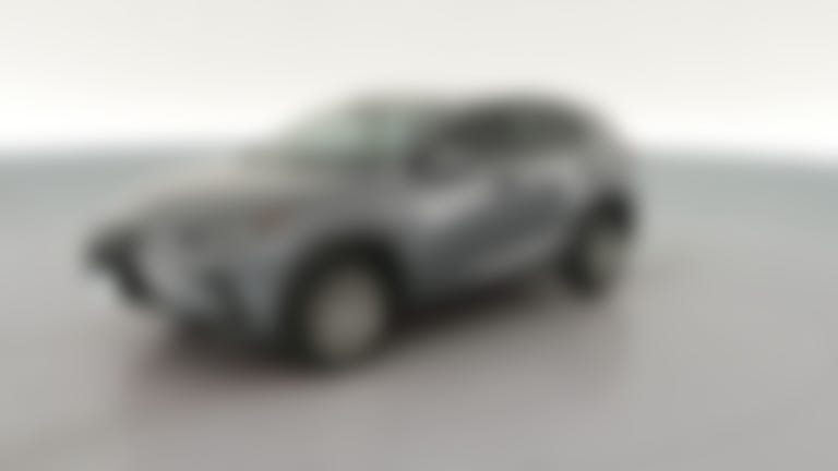 2021 Lexus NX vehicle photo