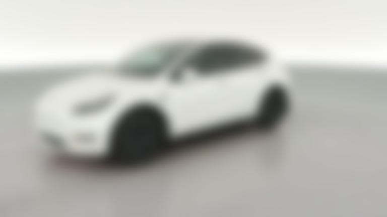 2024 Tesla Model Y vehicle photo