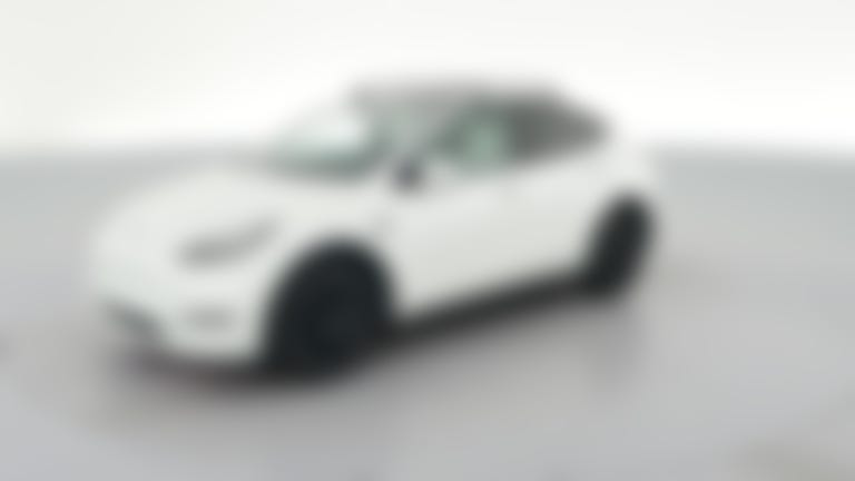 2023 Tesla Model Y vehicle photo