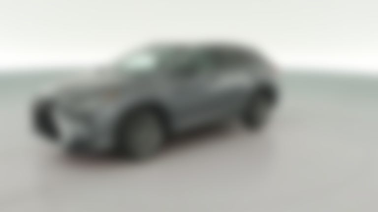 2019 Lexus RX vehicle photo