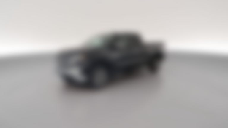 2019 Chevrolet Silverado 1500 Double Cab vehicle photo