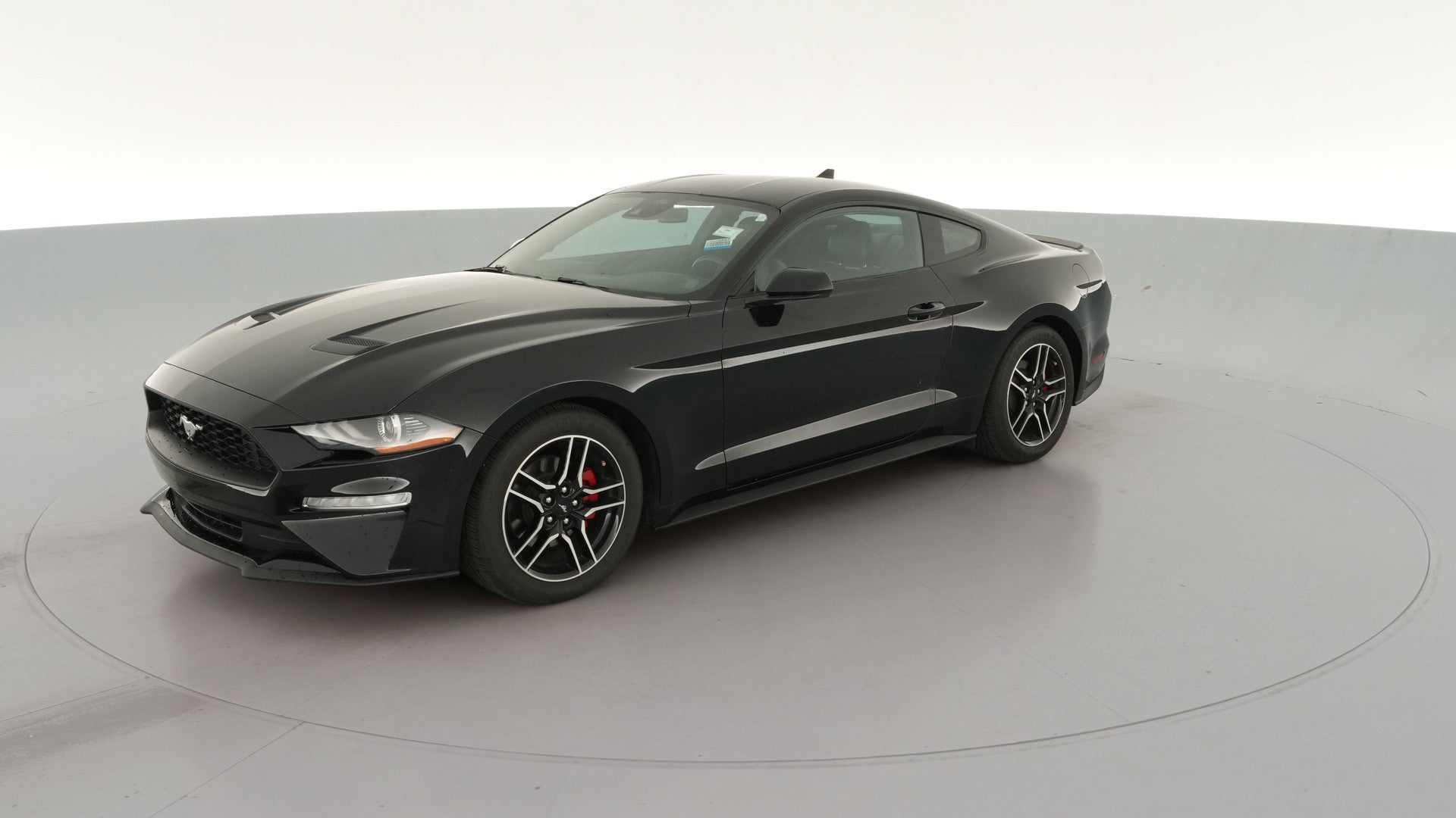 2023 Ford Mustang vehicle photo