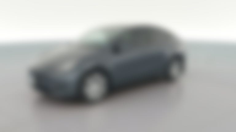2023 Tesla Model Y vehicle photo
