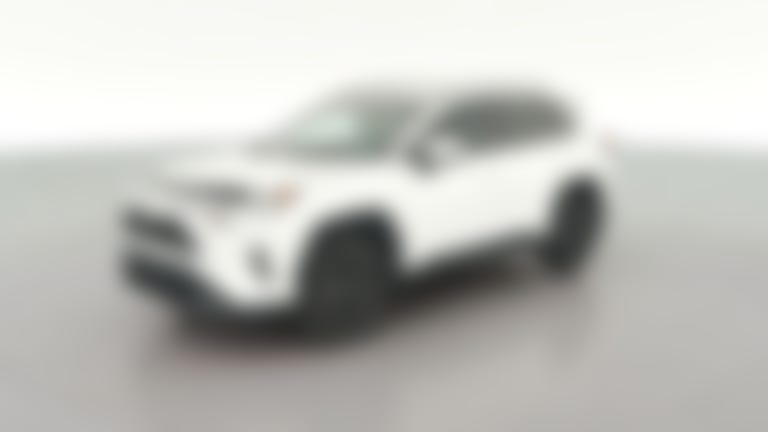 2019 Toyota RAV4 vehicle photo
