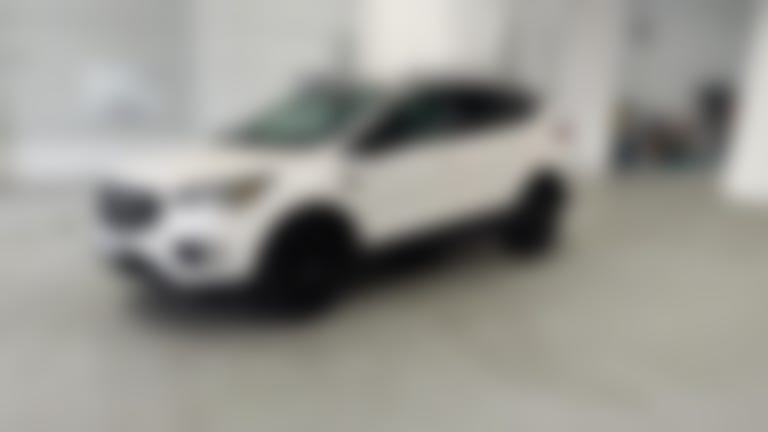 2019 Ford Escape vehicle photo