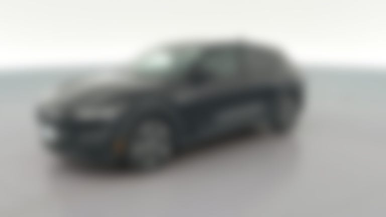 2021 Ford Mustang MACH-E vehicle photo