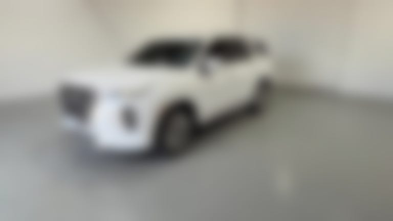 2020 Hyundai Palisade vehicle photo
