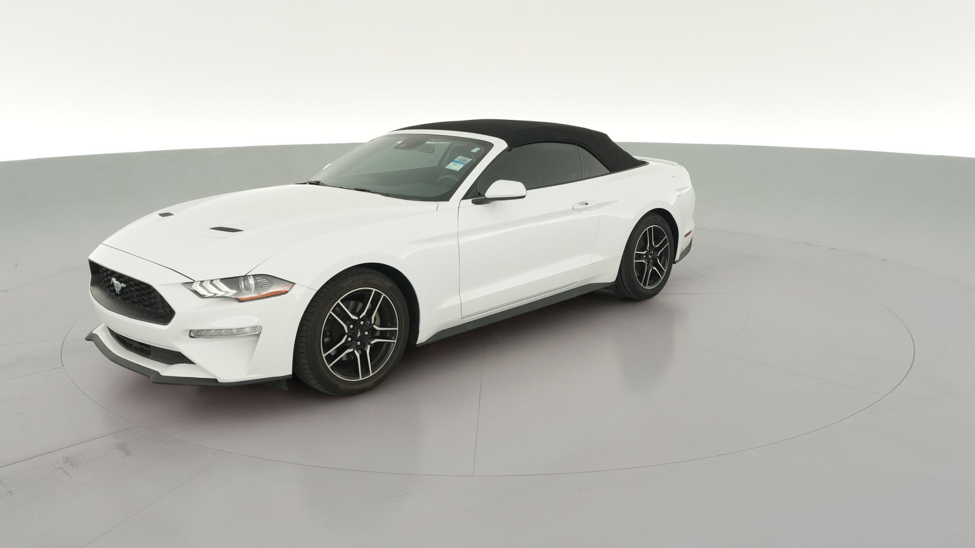 2023 Ford Mustang vehicle photo