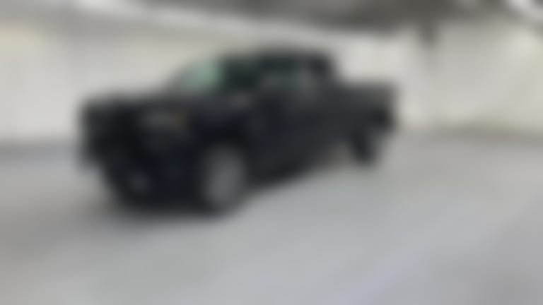 2020 Chevrolet Silverado 1500 Double Cab vehicle photo