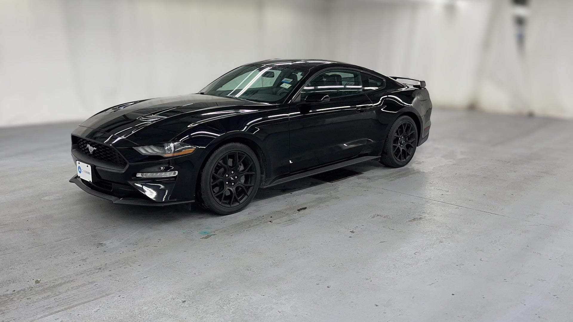2019 Ford Mustang vehicle photo